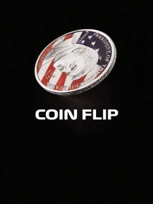 Coin Flip Game