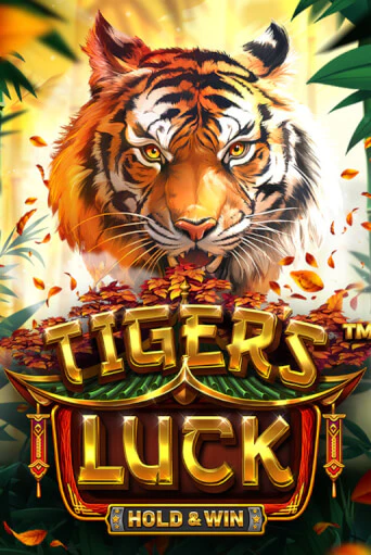 Tiger's Luck - Hold and Win Slot