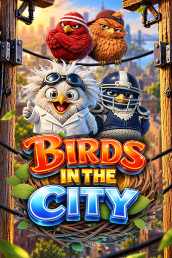 Birds in the City Game