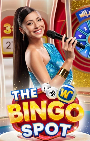 The Bingo Spot Game